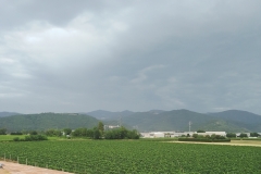 IMG_20220628_171356322